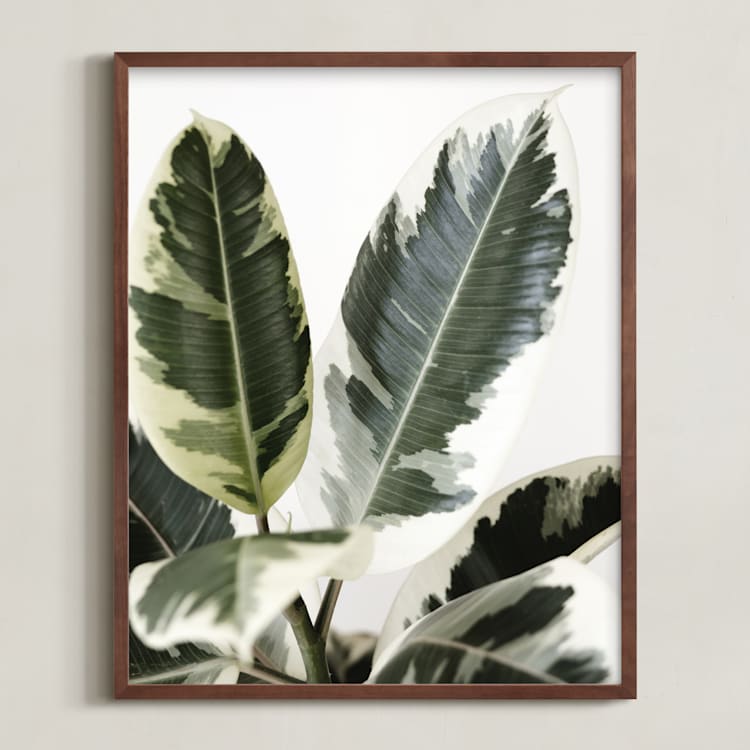 "Jack" - Art Print in variegated green by Kristi Jackson - Framed