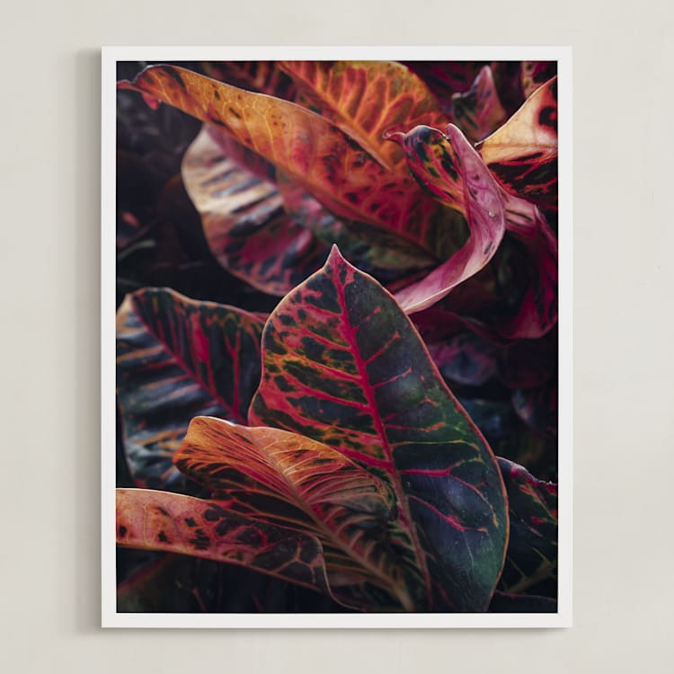 "shaded 1" - Art Print in color by Kamala Nahas - Framed