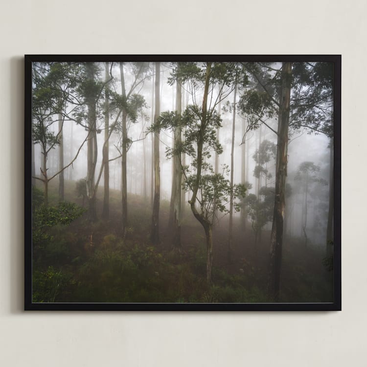 "Trees in the Mist" - Art Print in Fog White by Benno and Noosa - Framed