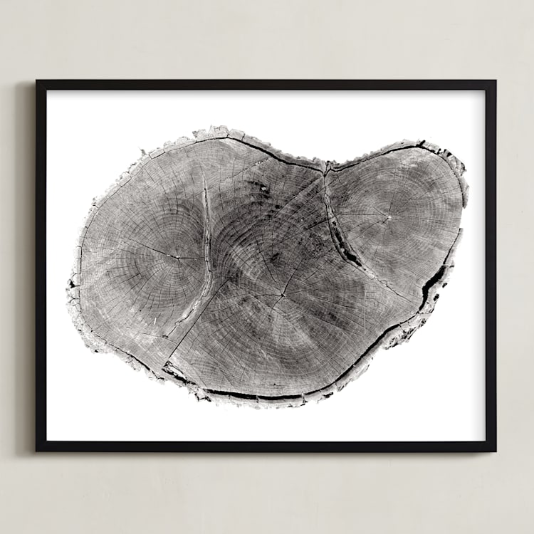 "Tree Rings pt. 1" - Art Print in Black by Mackenzie Darrach - Framed