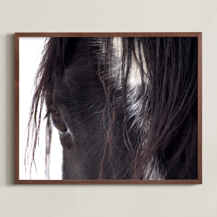 "Bucker" - Art Print in Wild Black by Leslie Le Coq - Framed
