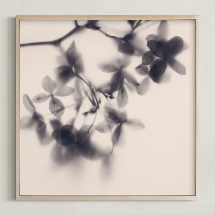 "Veiled Petals" - Art Print in Soft Pink by Karen Kardatzke - Framed
