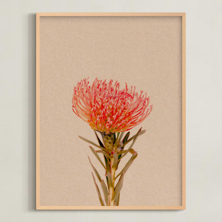 "Protea Collection 1" - Art Print in Clay by Paola Benenati - Framed