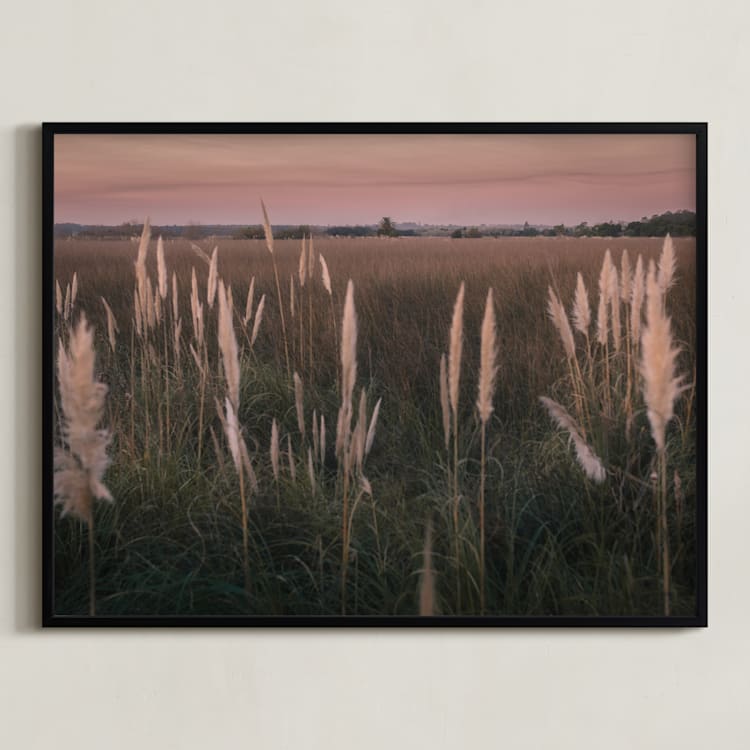 "Pampas grass" - Art Print in Sunset by Lucia Coppola - Framed