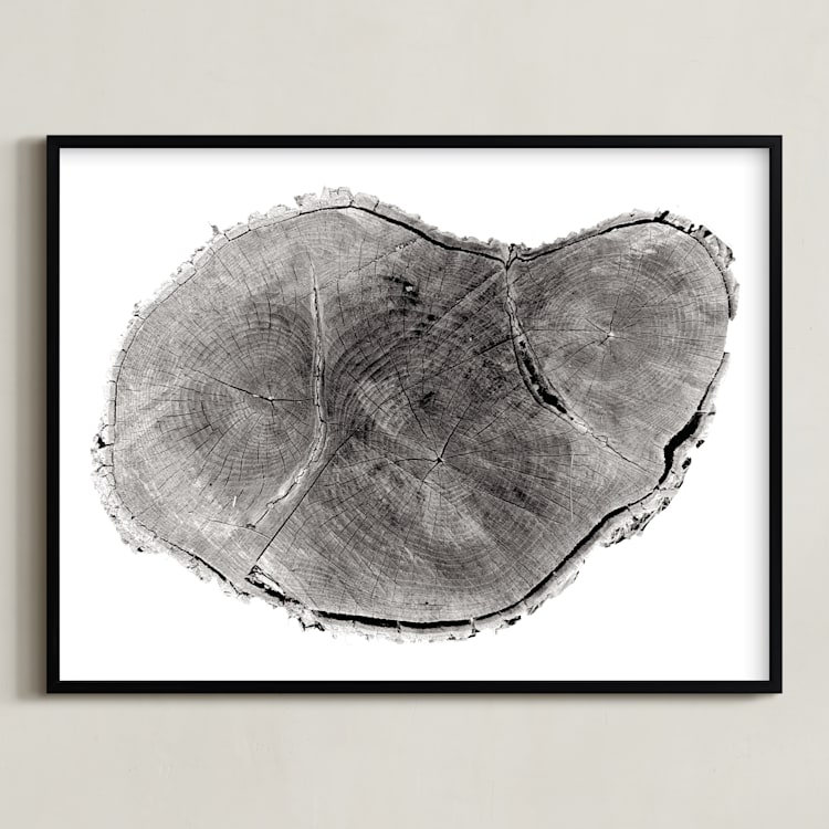 "Tree Rings pt. 1" - Art Print in Black by Mackenzie Darrach - Framed
