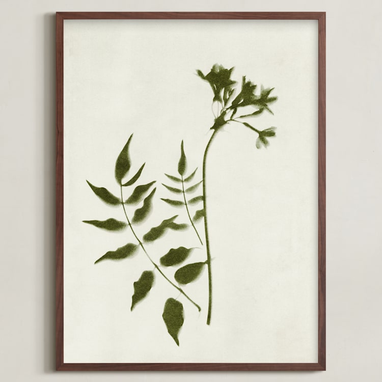 "Foraged II" - Art Print in Verdant by Kamala Nahas - Framed