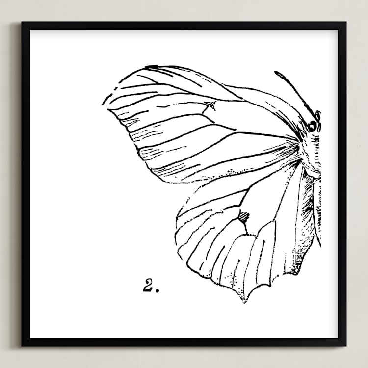 "Moth No. 2" - Art Print in Jet Black by Mere Paper - Framed