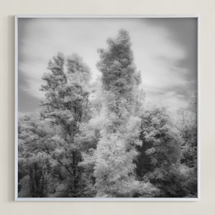 "InfraBotanical" - Art Print in Grey by Jeff Preuss - Framed