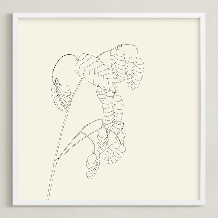 "Grass With Seed" - Art Print in charcoal on ivory by Jorey Hurley - Framed