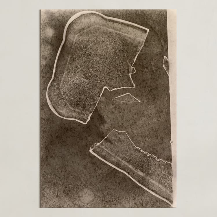 "convince" - Art Print in Sepia by raven erebus - Unframed