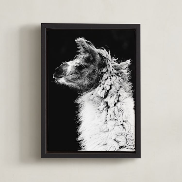 "Kai" - Art Print in Black White by Amy Carroll - Framed Canvas