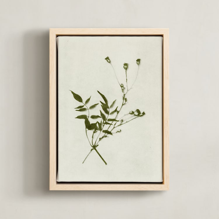 "Foraged 4" - Art Print in Verdant by Kamala Nahas - Framed Canvas
