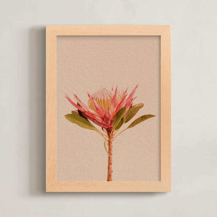 "Protea Collection 3" - Art Print in Clay by Paola Benenati - Framed