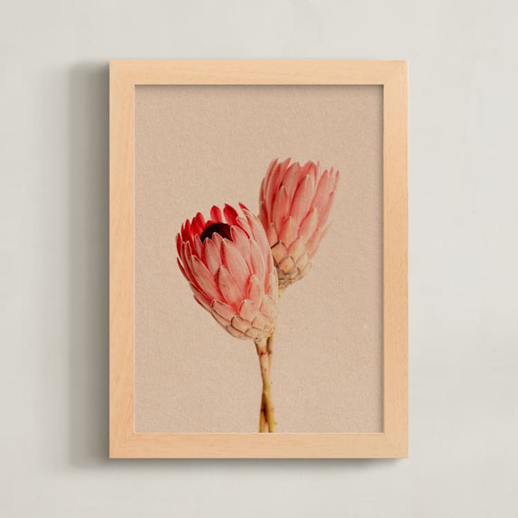 "Protea Collection 2" - Art Print in Clay by Paola Benenati - Framed