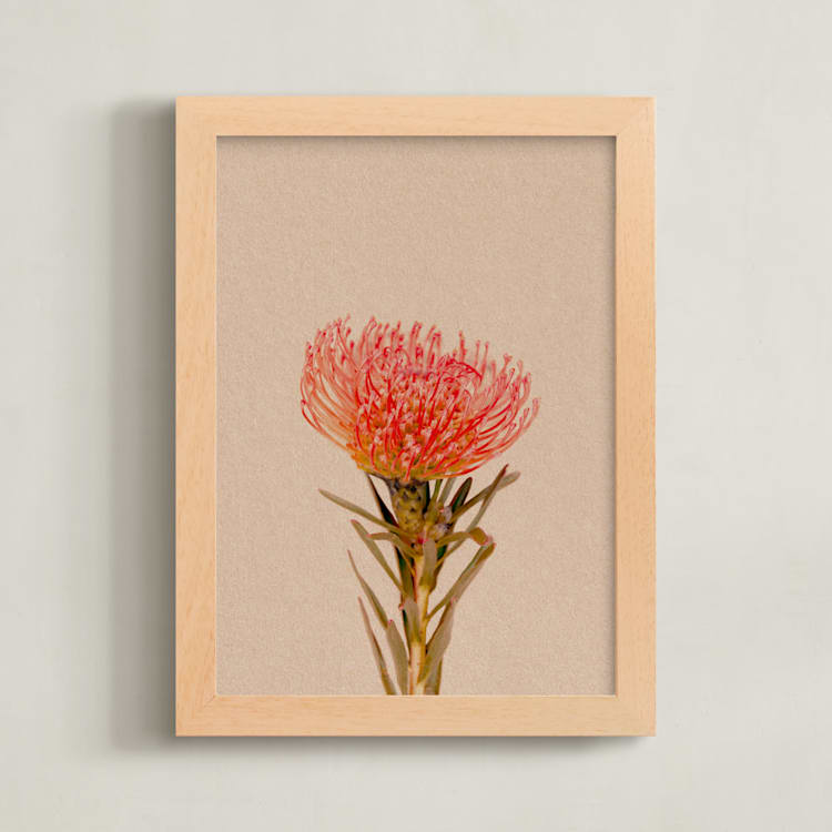 "Protea Collection 1" - Art Print in Clay by Paola Benenati - Framed