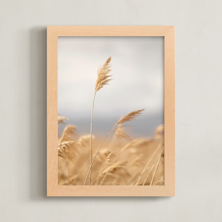 "marsh grass" - Art Print in Golden by Crystal Lynn Collins - Framed