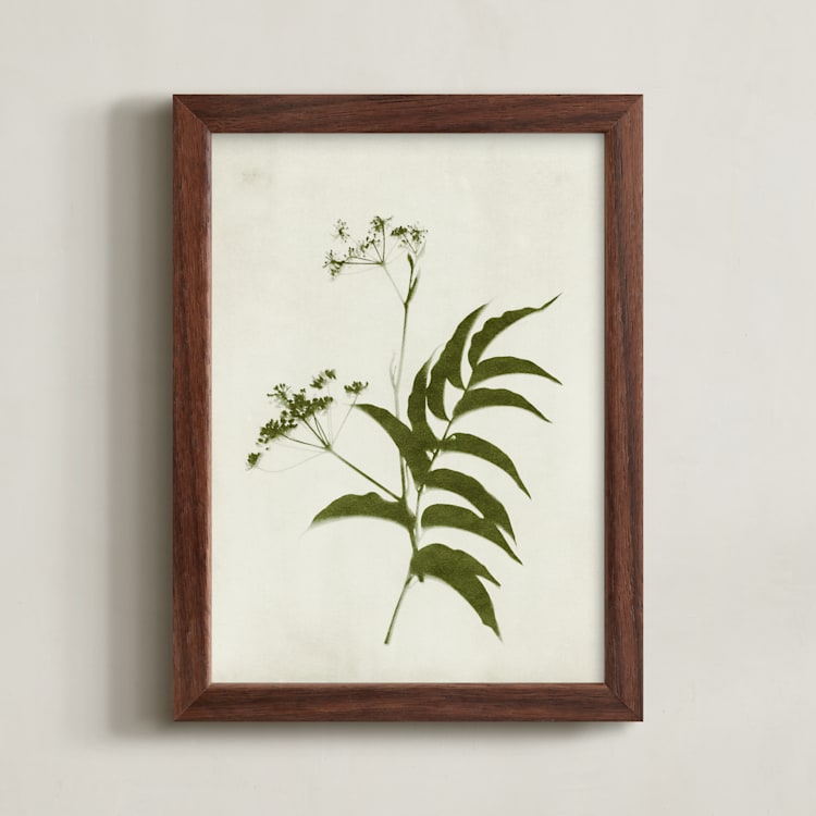 "Foraged III" - Art Print in Verdant by Kamala Nahas - Framed
