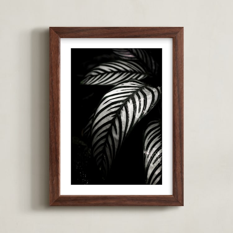 "Botanical Study #10" - Art Print in Black and grey by Kaitie Bryant - Framed