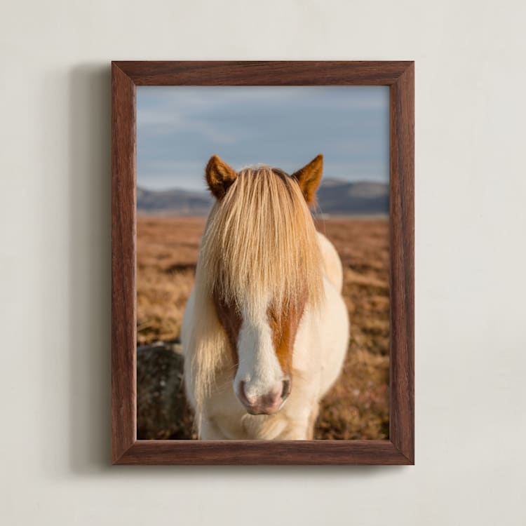 "Icelandic Horses I" - Art Print in Golden by Crystal Lynn Collins - Framed