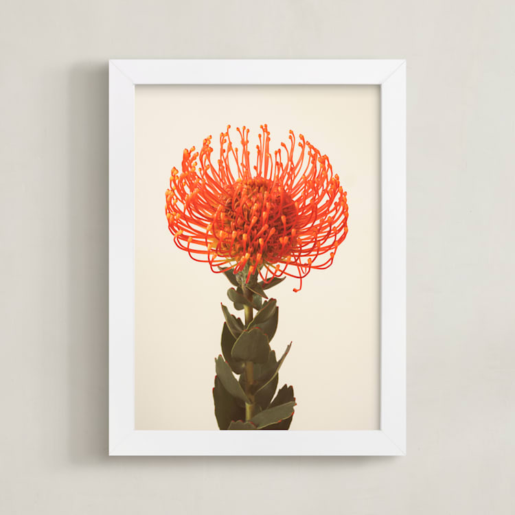 "Protea I" - Art Print in tangerine by Kamala Nahas - Framed