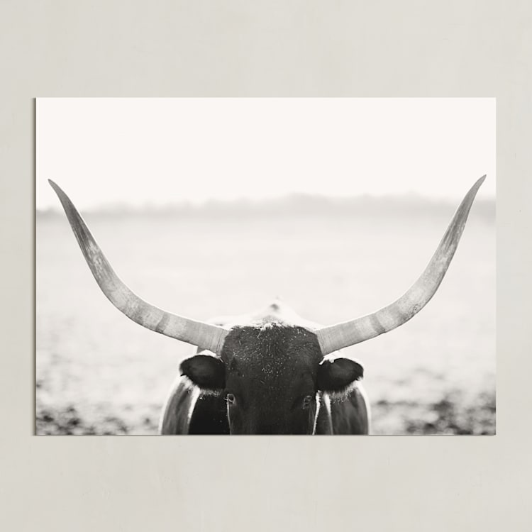 "Staredown" - Art Print in White by Amy Carroll - Unframed