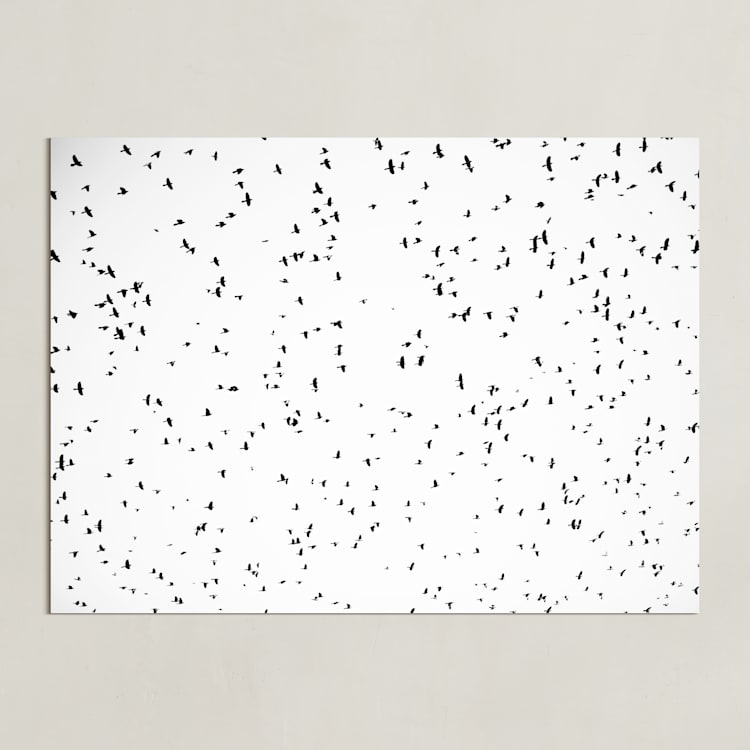"Flight Pattern" - Art Print in white by Robin Ott - Unframed