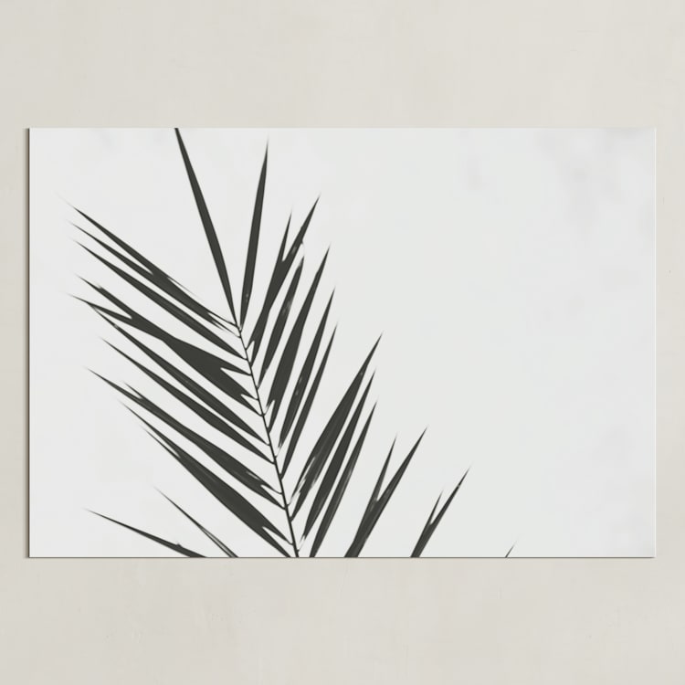 "Two" - Art Print in Charcoal by Stacy Cooke - Unframed