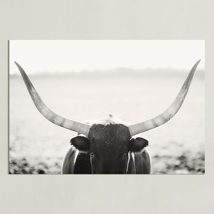 "Staredown" - Art Print in Soft Black by Amy Carroll - Unframed