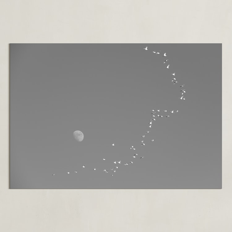 "Flight and Hike I" - Art Print in Dusk by Alaric Yanos - Unframed