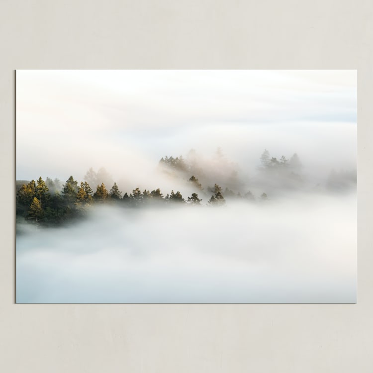 "Revealing II" - Art Print in Seaweed Green by Tania Medeiros - Unframed