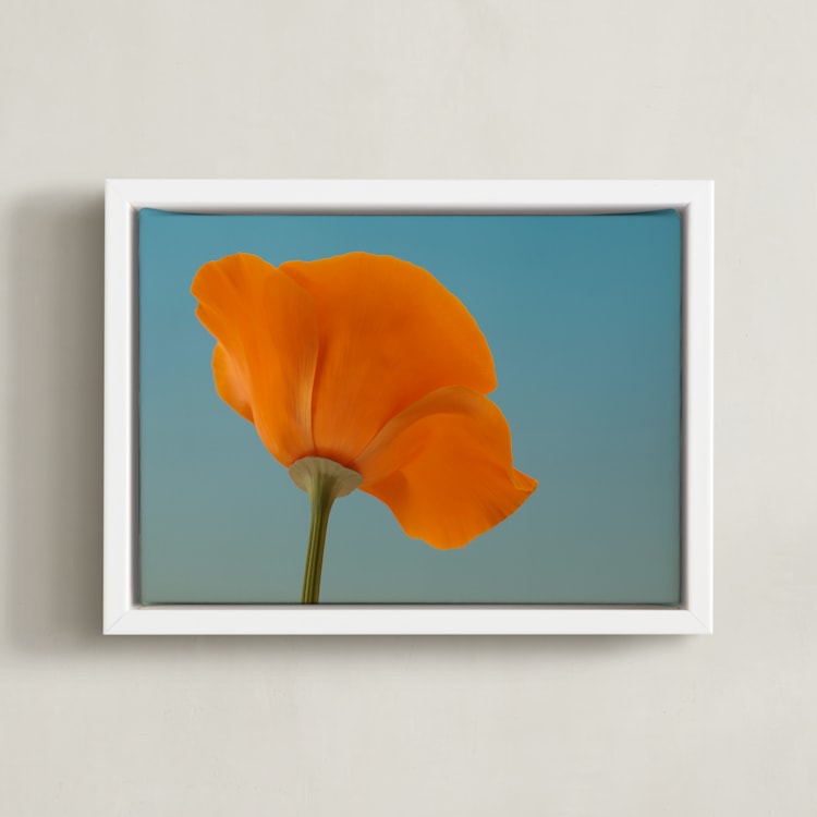 "California Poppy" - Art Print in California Poppy Orange by Elena Kulikova - Framed Canvas