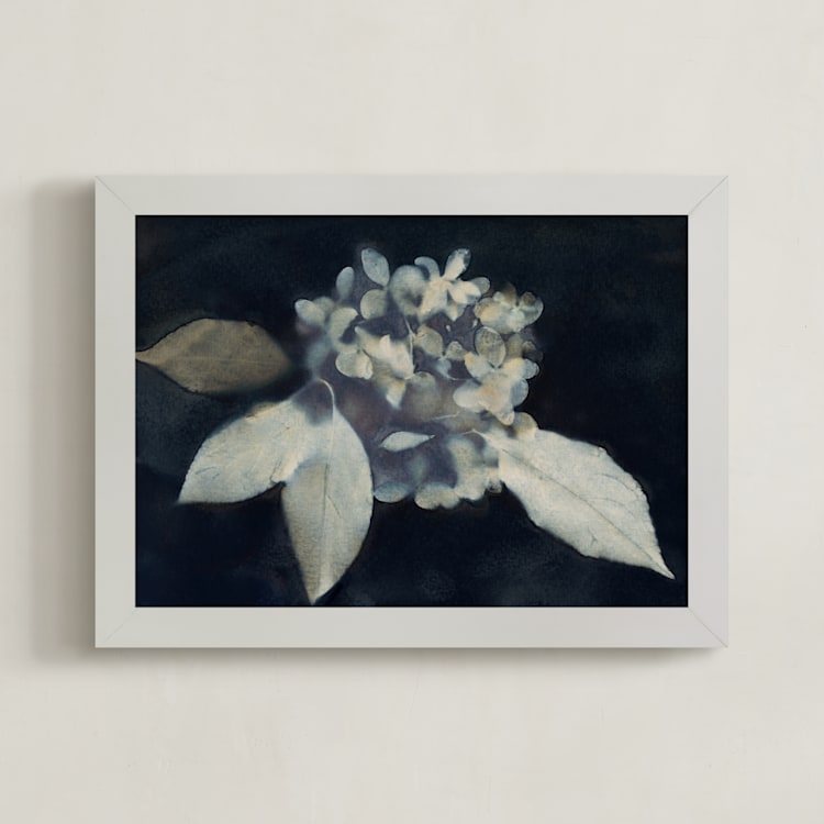 "Hortensia" - Art Print in Midnight by Courtney Crane - Framed