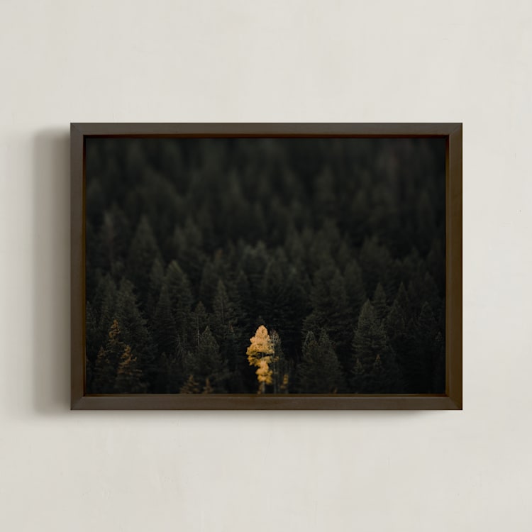 "the lone wolf" - Art Print in blue green by Jacob Loafman - Framed