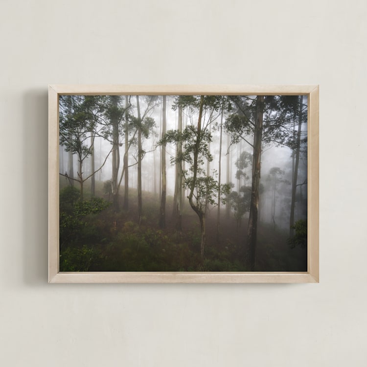 "Trees in the Mist" - Art Print in Fog White by Benno and Noosa - Framed