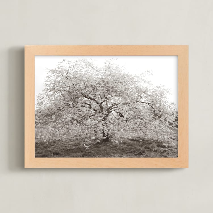"bloom I" - Art Print in blossom by Sara Hicks Malone - Framed