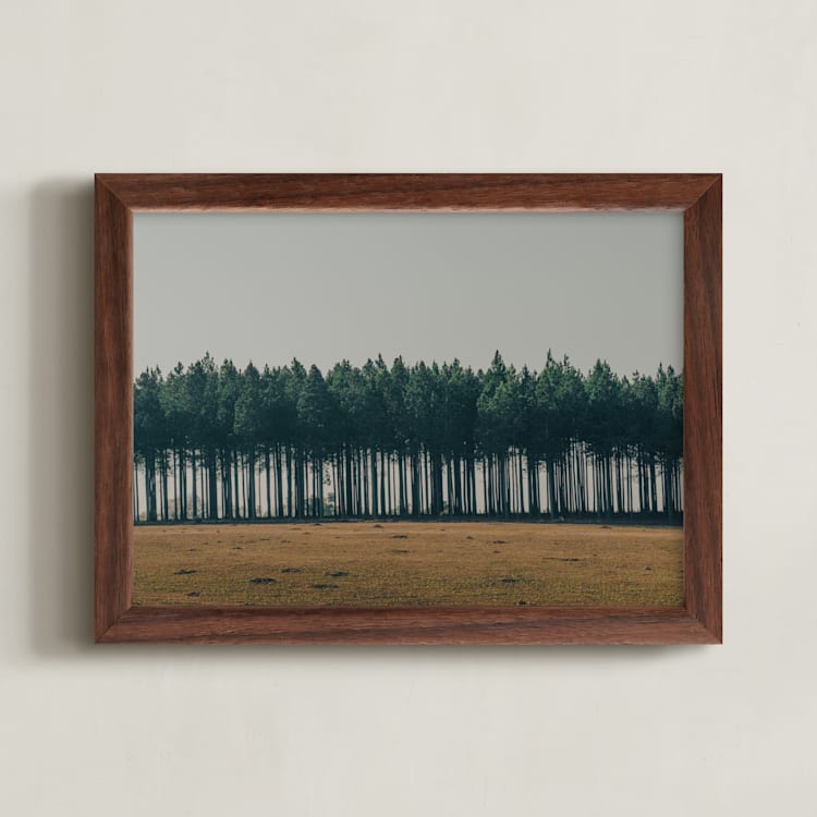 "Moody Trees" - Art Print in Pine by Zani van Zyl - Framed
