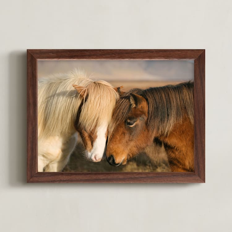 "Icelandic Horses II" - Art Print in Golden by Crystal Lynn Collins - Framed