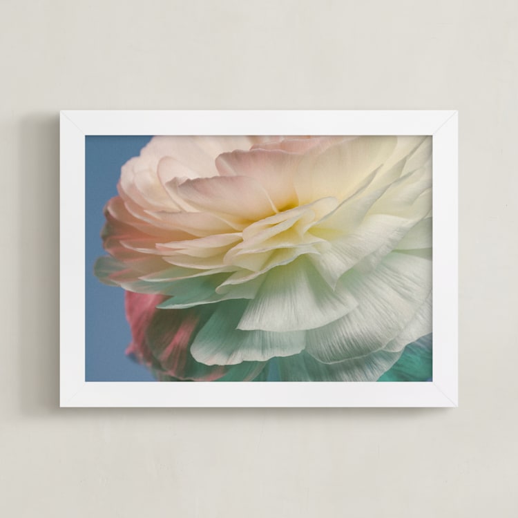 "Delicate Ranunculus Flower" - Art Print in Blue by Elena Kulikova - Framed
