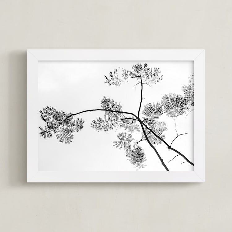 "Botanical Silhouette" - Art Print in Black and White by Kaitlin Rebesco - Framed