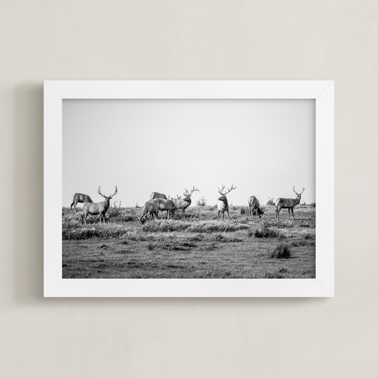 "tule elk" - Art Print in black and white by Crystal Lynn Collins - Framed