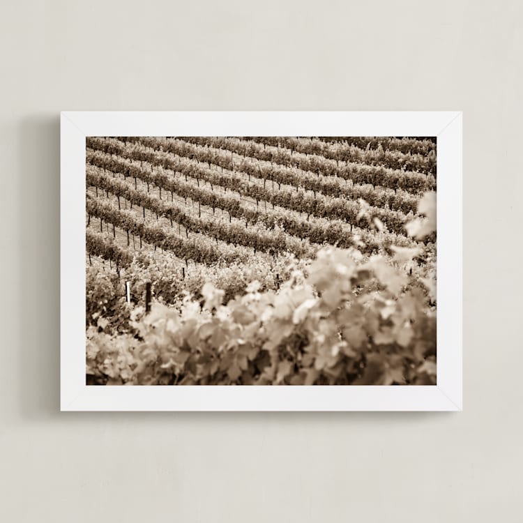 "Vineyard Seasons - June, No. 1" - Art Print in Warm Sepia by Shannon Howard - Framed