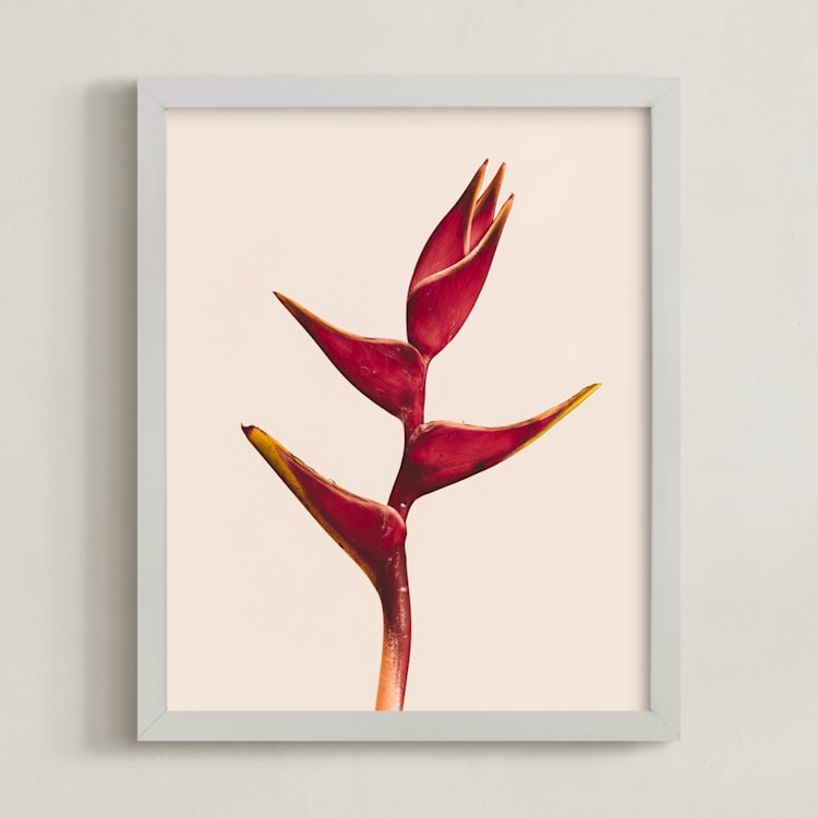 "heliconia 3" - Art Print in Heliconia by Kamala Nahas - Framed
