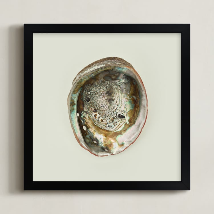 "Abalone Shell" - Art Print in Natural by Field and Sky - Framed
