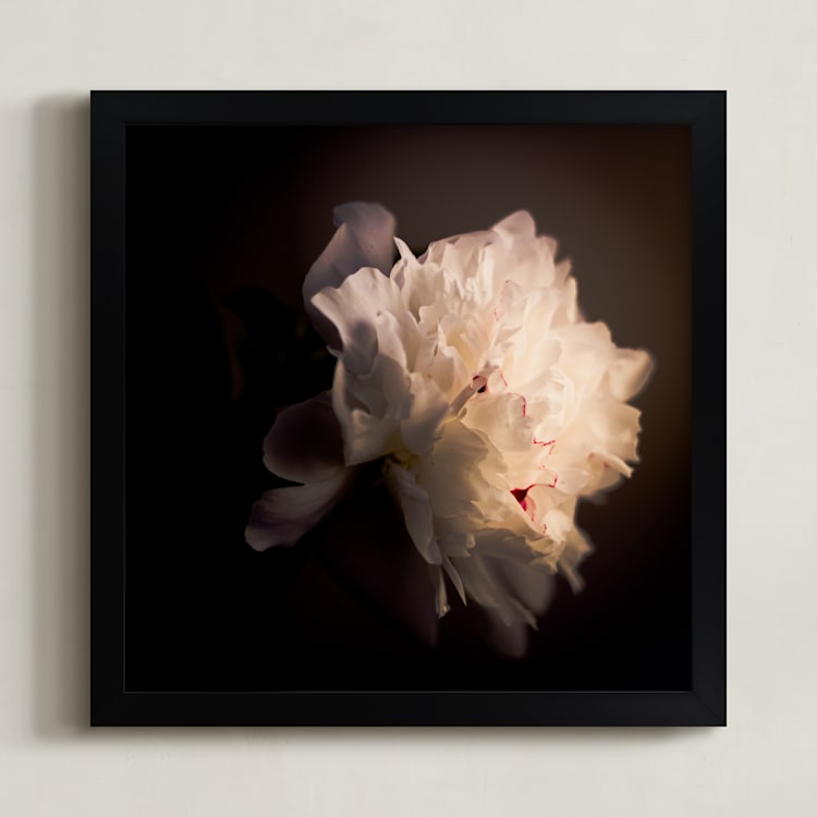 "A White Peony" - Art Print in sublte color by Qing Ji - Framed
