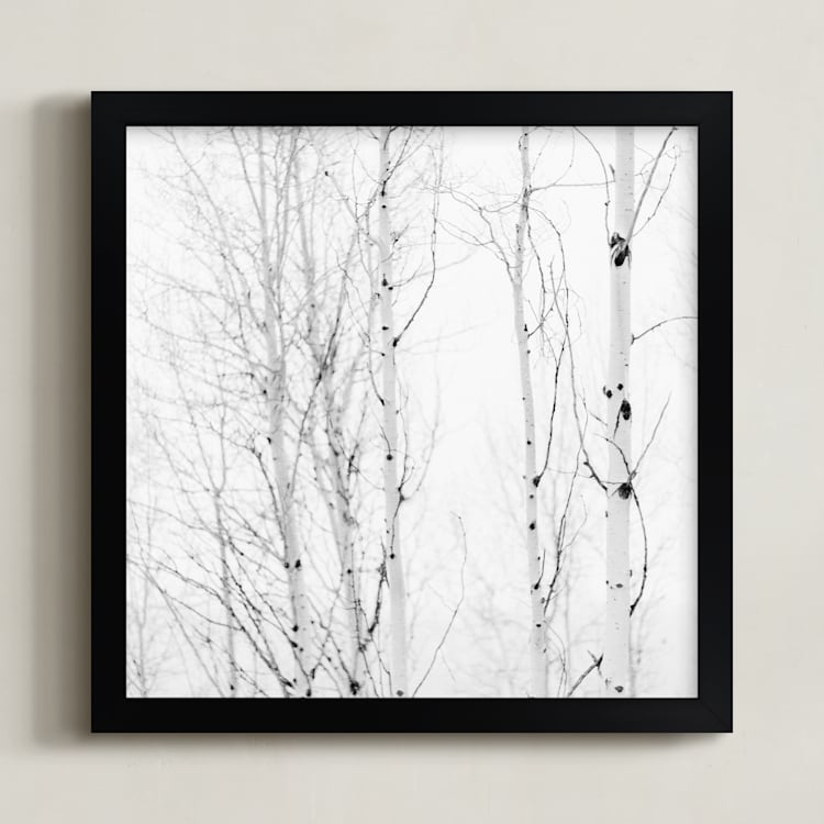 "White Aspens" - Art Print in Black and White by Jessica C Nugent - Framed