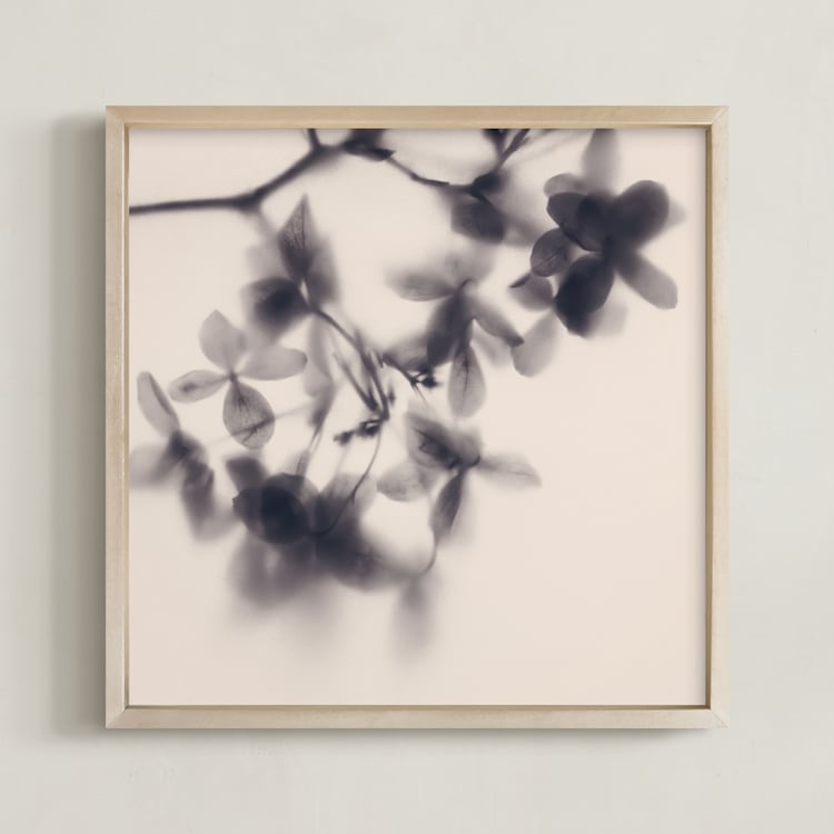 "Veiled Petals" - Art Print in Soft Pink by Karen Kardatzke - Framed