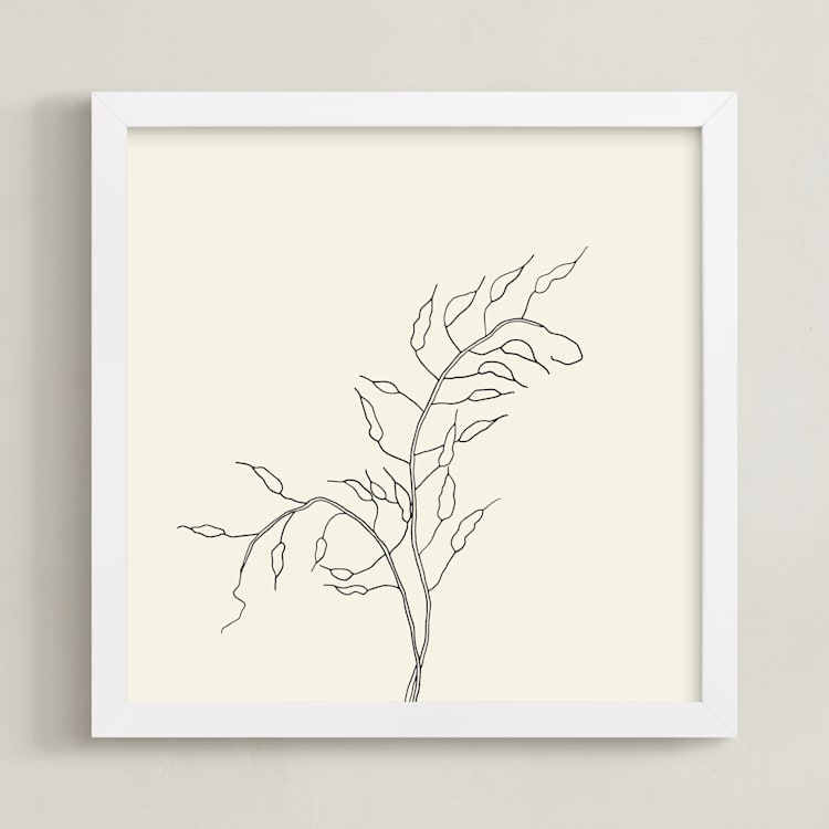 "Wild Radish" - Art Print in charcoal on ivory by Jorey Hurley - Framed