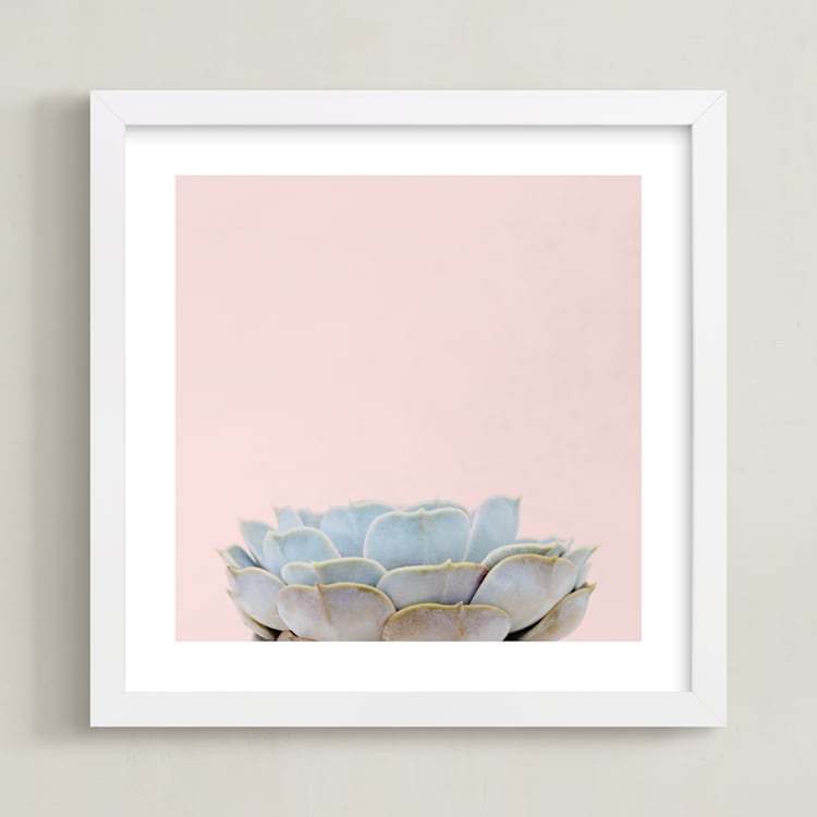 "Succulent No2" - Art Print in Color by Jessica C Nugent - Framed