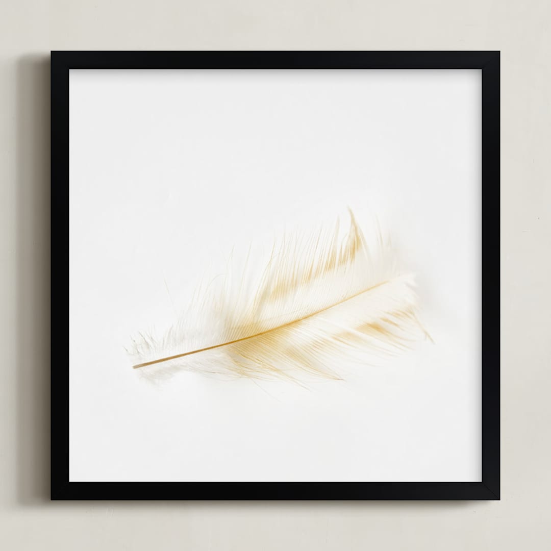 Feather Light B - Series