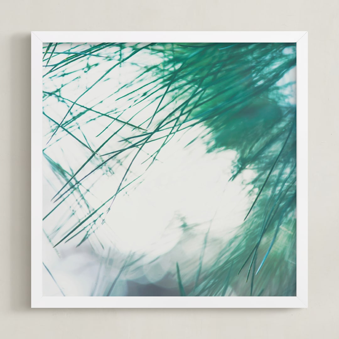 Pine Study 2